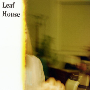leaf house cover