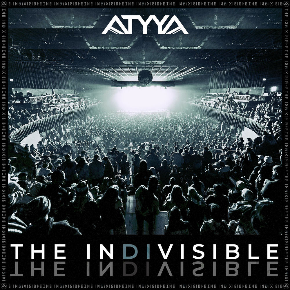 the indivisible cover