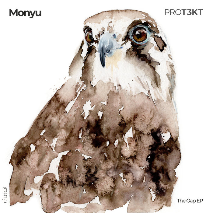 The Gap EP (PROT3KT021) cover