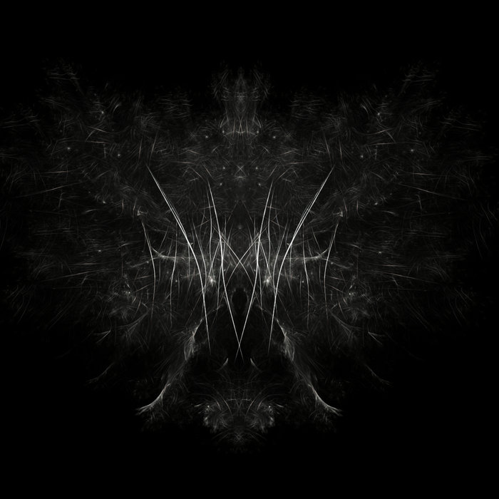 talking with trees cover