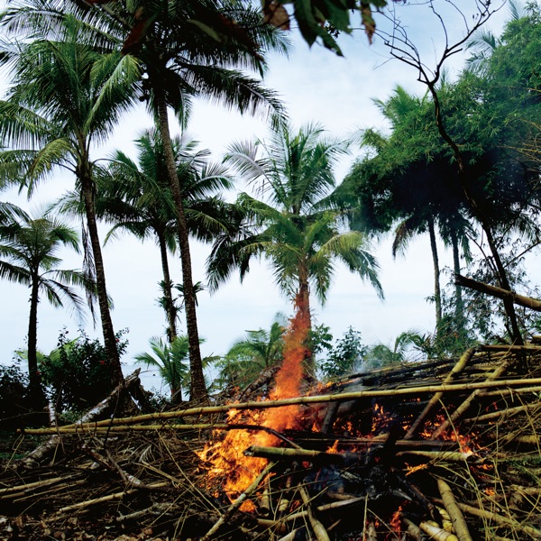 metaphors selected soundworks from the cinema of apichatpong weerasethakul cover
