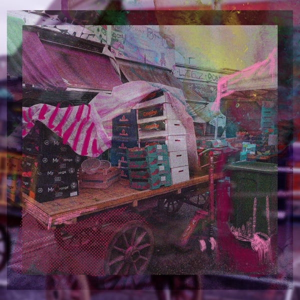 ridley road cover