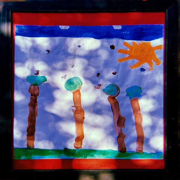 trees cover