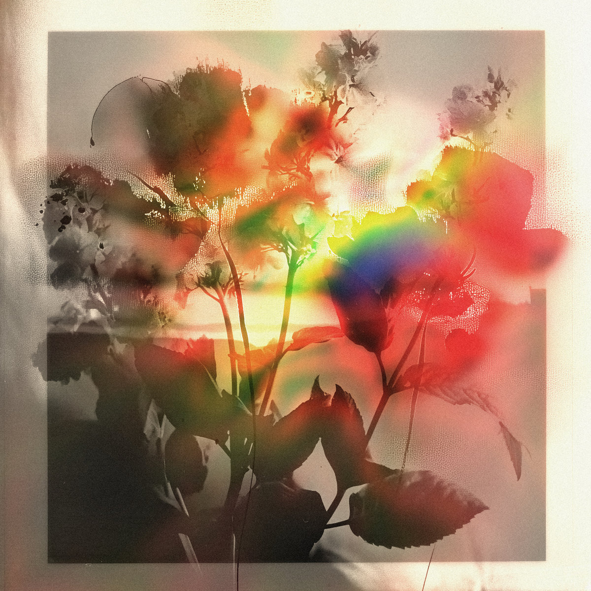 work cover