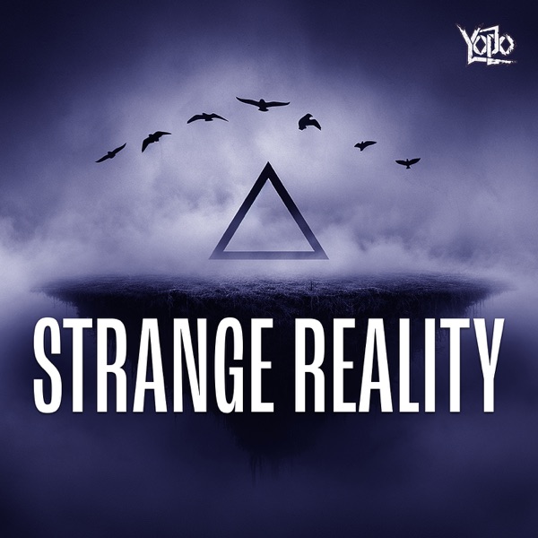 strange reality cover