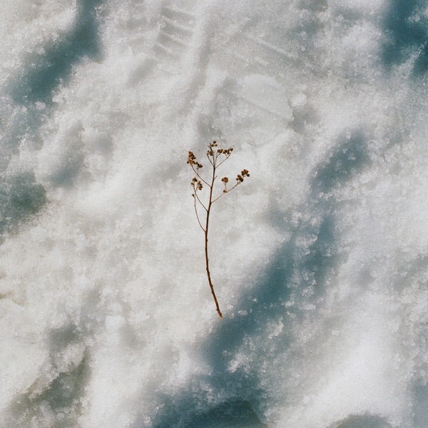 swimming cover