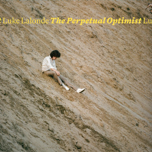 The Perpetual Optimist cover