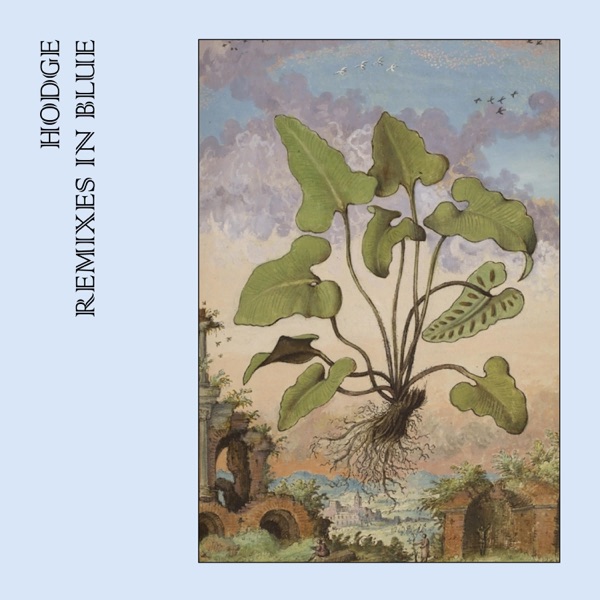 remixes in blue cover