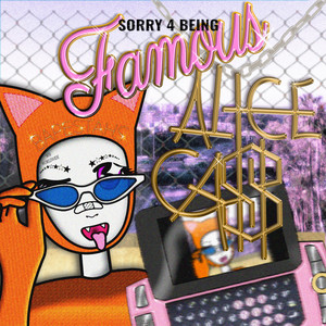 Sorry 4 Being Famous cover